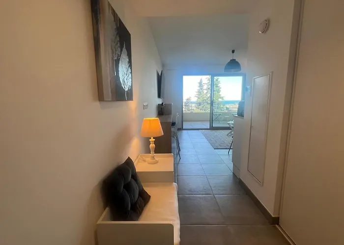 Apartament Beautiful In A With Swimming Pool Villeneuve-Loubet